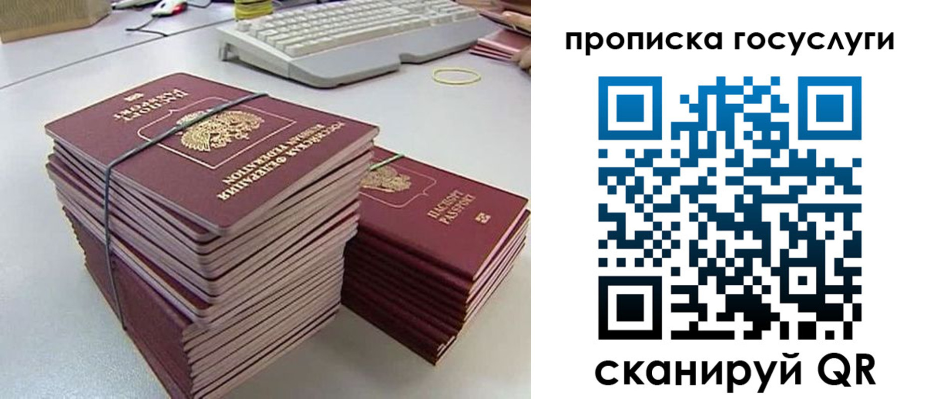 временная регистрация для школы в Мурманске
